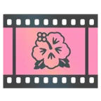 taśma filmowa + kwiat hibiskusa