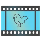 taśma filmowa + ptak