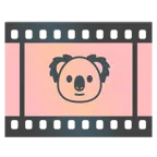 taśma filmowa + koala