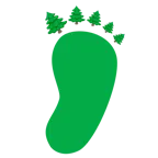 impronta di piedi + albero sempreverde