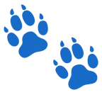 impronta di piedi + barboncino