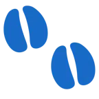 impronta di piedi + muso di mucca