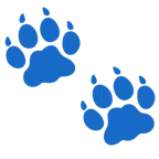 impronta di piedi + muso di tigre