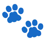 impronta di piedi + muso di gatto