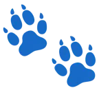 impronta di piedi + muso di cane