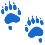impronta di piedi + orso