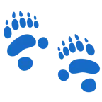 impronta di piedi + panda