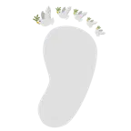 impronta di piedi + colomba