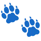 impronta di piedi + leone