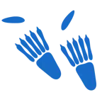 impronta di piedi + pipistrello