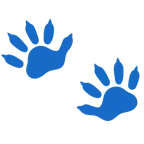 impronta di piedi + riccio