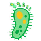 impronta di piedi + microbo