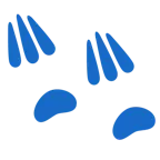 impronta di piedi + bradipo