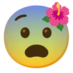faccina impaurita + ibisco