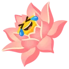 rolling on the floor laughing + lotus