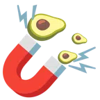 자석 + 아보카도