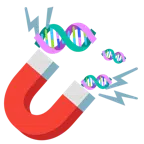자석 + DNA