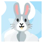 hot springs + rabbit face