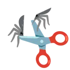 Schere + Spinne
