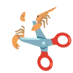 Schere + Skorpion