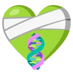 cuore guarito + dna