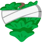 cuore guarito + albero sempreverde