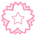 stella + fiore bianco