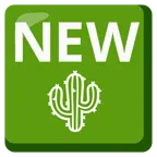 NEW button + cactus
