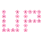 UP! button + cherry blossom