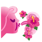 พ่นลม + ดอกชบา