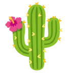 ibisco + cactus