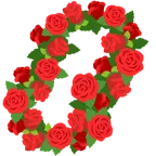ibisco + rosa