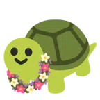 ibisco + tartaruga