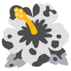 ibisco + muso di mucca