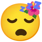 ibisco + faccina che dorme