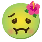 ibisco + faccina nauseata