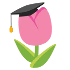 Doktorhut + Tulpe