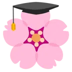 Doktorhut + Kirschblüte