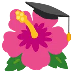 Doktorhut + Hibiskus