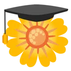 Doktorhut + gelbe Blüte