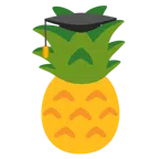 Doktorhut + Ananas