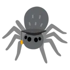 Doktorhut + Spinne