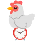 ไก่ + นาฬิกาปลุก