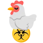 ไก่ + เชื้อโรคอันตราย