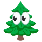 occhi + albero sempreverde