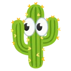occhi + cactus