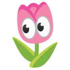 occhi + tulipano