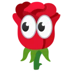 occhi + rosa