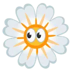 occhi + fiore