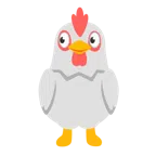 occhi + gallina